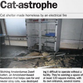 Cat-astrophe